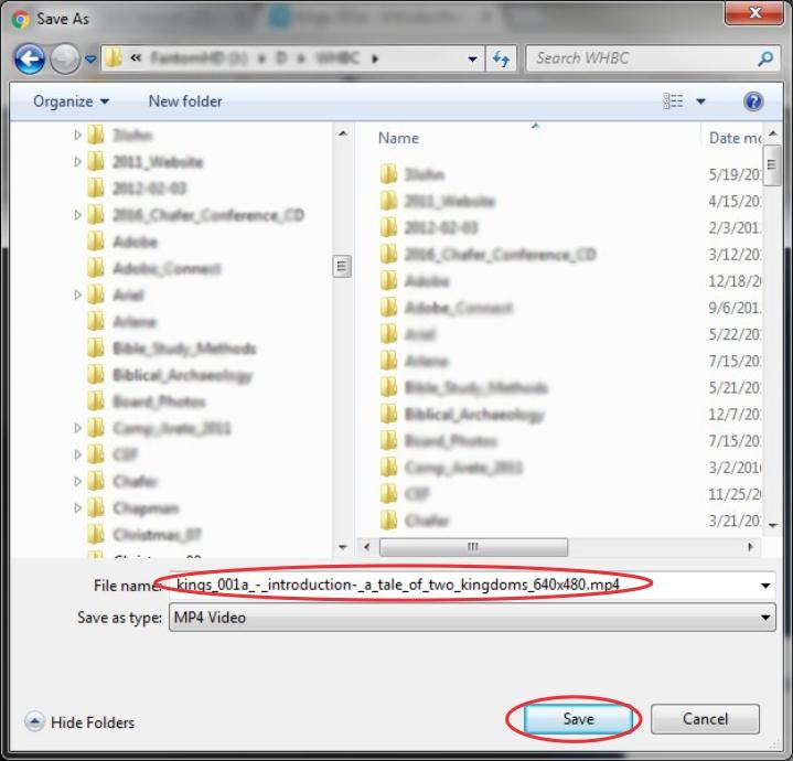 Save Video File Explorer